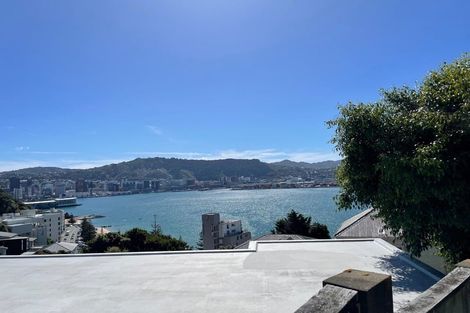 Photo of property in 31 Hay Street, Oriental Bay, Wellington, 6011