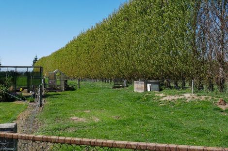 Photo of property in 656 Levels Plain Road, Kerrytown, Timaru, 7975