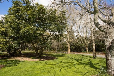 Photo of property in 266b Hot Springs Road, Tahawai, Katikati, 3178