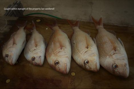 Photo of property in 54 Links View Drive, Omokoroa, 3114