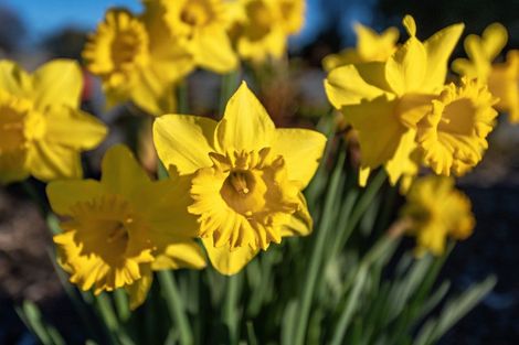 Photo of property in 90 Colebrook Road, Edgecumbe, Whakatane, 3193