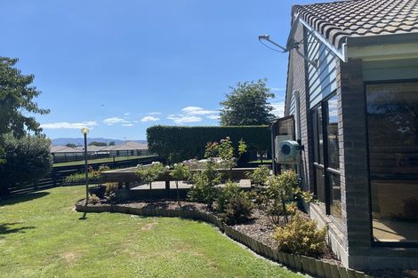 Photo of property in 37 Banks Road, Matamata, 3400