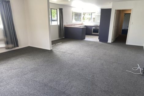 Photo of property in 17 Rubicon Place, Hei Hei, Christchurch, 8042
