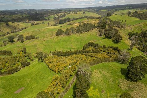 Photo of property in 231 Walford Road, Aongatete, Katikati, 3181