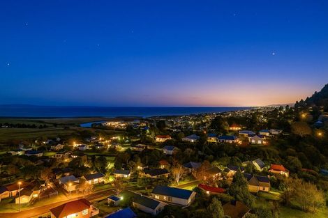 Photo of property in 401 Millington Place, Thames, 3500