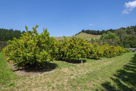 Photo of property in 98 Taurau Valley Road, Manutuke, 4072