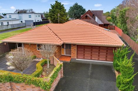 Photo of property in 219 Victoria Avenue, Hokowhitu, Palmerston North, 4410