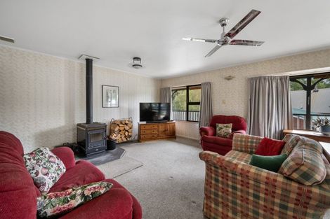 Photo of property in 21 Ballarat Avenue, Naseby, Ranfurly, 9396