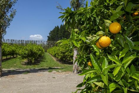 Photo of property in 98 Taurau Valley Road, Manutuke, 4072