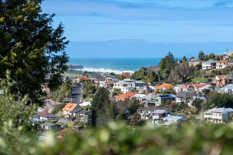 Photo of property in 106 Sidey Street, Calton Hill, Dunedin, 9012