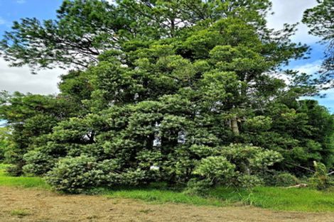 Photo of property in 327 Spains Road, Awanui, 0486