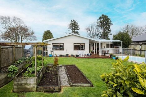 Photo of property in 233 Lamb Street, Leamington, Cambridge, 3432