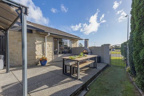 Photo of property in 60 Easton Way, Levin, 5510