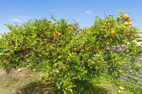 Photo of property in 29 Wilson Street, Waverley, 4510