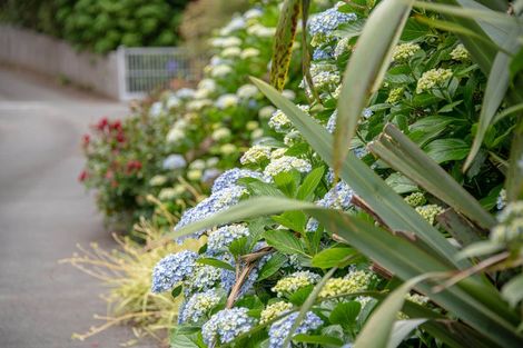 Photo of property in 65 Mahurangi East Road, Snells Beach, Warkworth, 0982