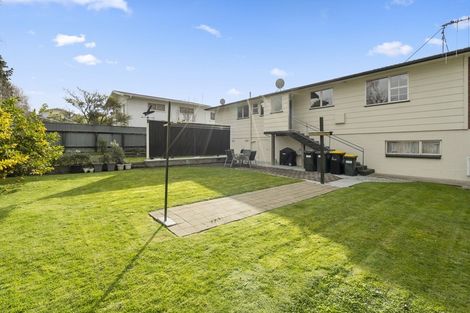 Photo of property in 12 Haggitt Street, Feilding, 4702