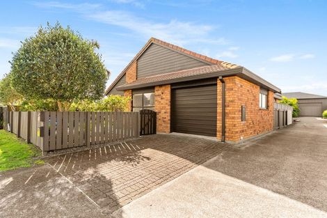 Photo of property in 61 Campbell Road, Mount Maunganui, 3116