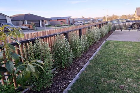 Photo of property in 41 Te Ranga Memorial Drive, Pyes Pa, Tauranga, 3112