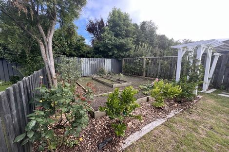 Photo of property in 1/46 Campbell Street, Havelock North, 4130