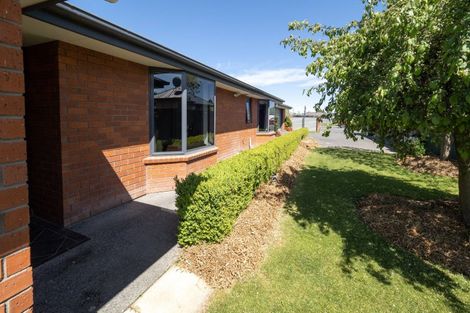 Photo of property in 7 Wilkin Street, Tinwald, Ashburton, 7700
