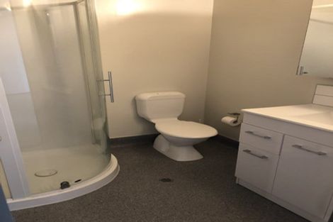 Photo of property in Dual Apartments, 301/142 Vivian Street, Te Aro, Wellington, 6011