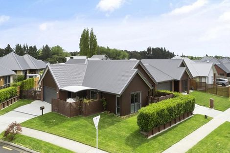 Photo of property in 19 Clifford Close, Leamington, Cambridge, 3432