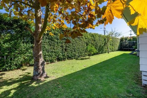Photo of property in 48 Long Drive, Saint Heliers, Auckland, 1071