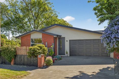 Photo of property in 20 Lindores Street, Addington, Christchurch, 8024