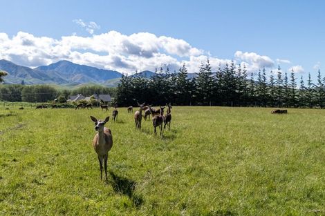 Photo of property in 80 Butlers Road, Fairlie, 7987