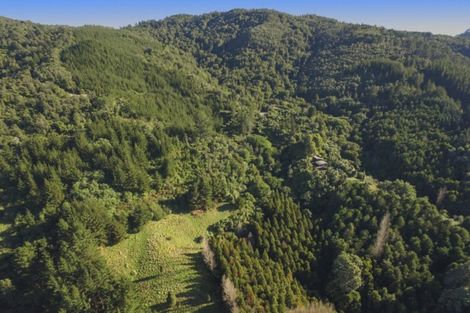 Photo of property in 77 Grammer Road, Tahawai, Katikati, 3170