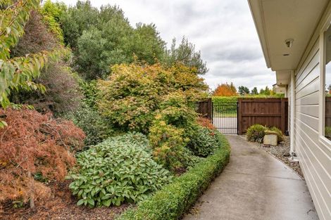 Photo of property in 56 Charles Street, Carterton, 5713