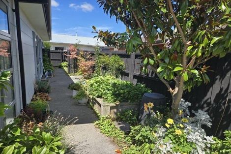 Photo of property in 42a Diamond Avenue, Spreydon, Christchurch, 8024
