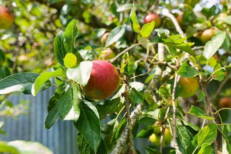 Photo of property in 1235 Parnassus Road, Ferniehurst, Cheviot, 7384