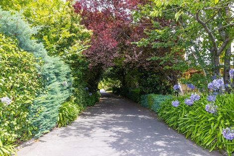 Photo of property in 806e Williams Street, Mahora, Hastings, 4120