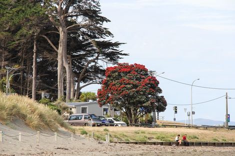 Photo of property in 123 Marine Parade, Seatoun, Wellington, 6022