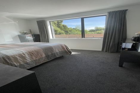 Photo of property in 119a Martin Road, Fairfield, Dunedin, 9018