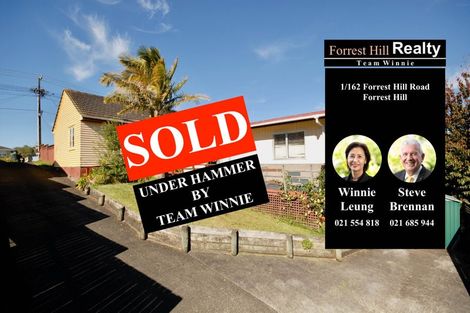 Photo of property in 2/162 Forrest Hill Road, Forrest Hill, Auckland, 0620