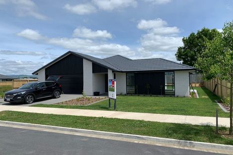 Photo of property in 39 Hanlow Place, Pyes Pa, Tauranga, 3112