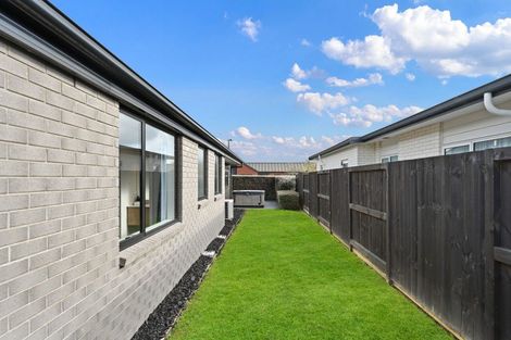 Photo of property in 24 Lulu Avenue, Chartwell, Hamilton, 3210
