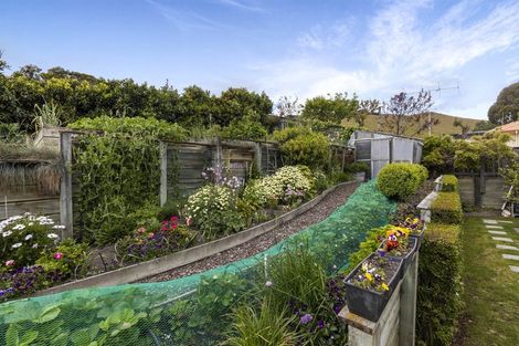 Photo of property in 57 Forest Park Drive, Witherlea, Blenheim, 7201