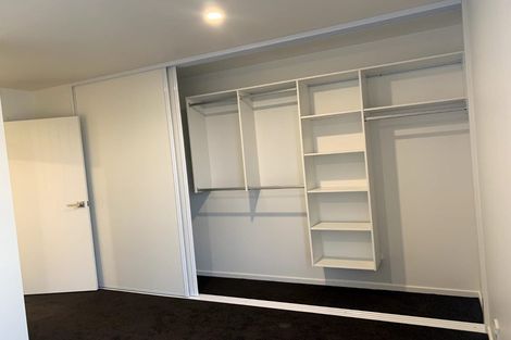 Photo of property in 44 David Street, Caversham, Dunedin, 9012