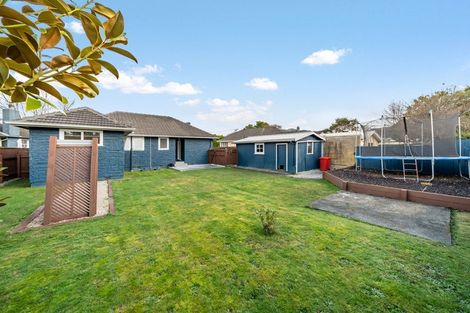 Photo of property in 17 Weka Grove, Elderslea, Upper Hutt, 5018
