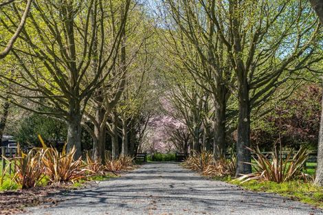 Photo of property in 47a Scotsman Valley Road, Tauwhare, Hamilton, 3287