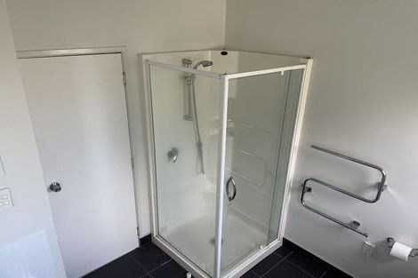 Photo of property in 17 Blacklock Avenue, Henderson, Auckland, 0612