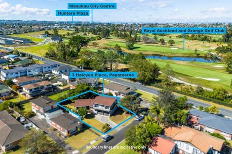 Photo of property in 3 Halcyon Place, Papatoetoe, Auckland, 2025