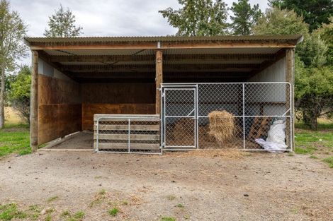 Photo of property in 116 Molloys Road, Waimate, 7980