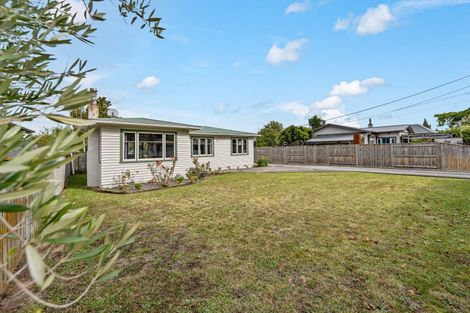 Photo of property in 33 Camden Street, Feilding, 4702