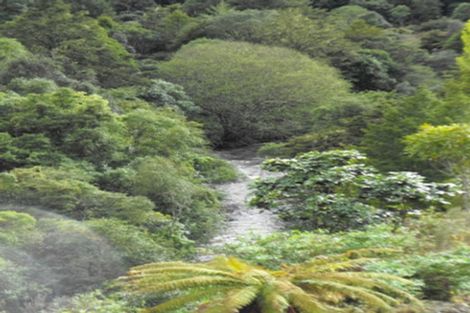 Photo of property in 1979 Ongarue Stream Road, Waimiha, 3998