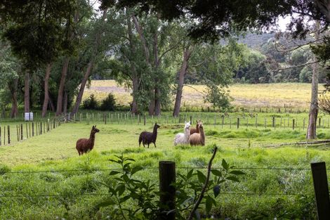 Photo of property in 1174 Kahikatea Flat Road, Waitoki, Kaukapakapa, 0871