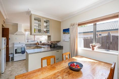 Photo of property in 417 Ruahine Street, Terrace End, Palmerston North, 4410